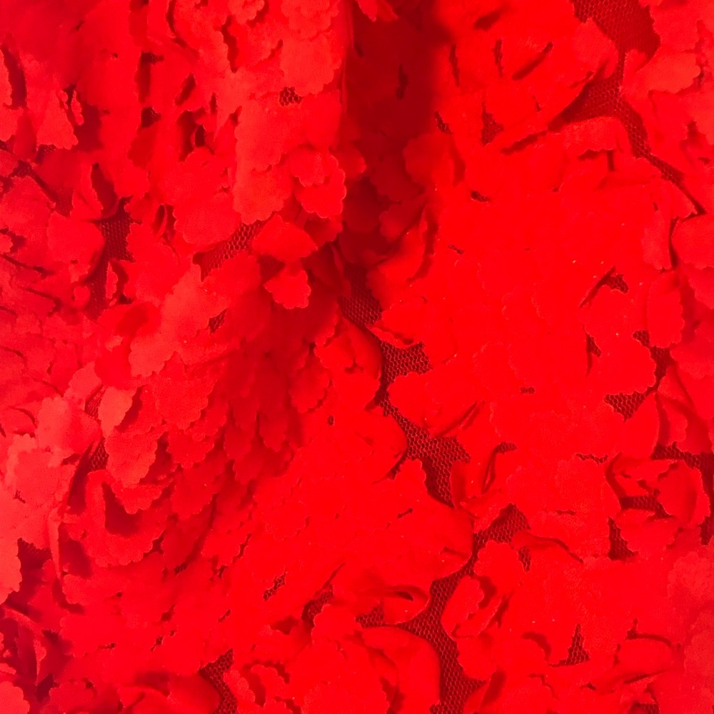 H&M Red Textured Dress - Picture 4 of 4